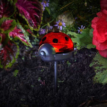 Load image into Gallery viewer, Ladybird Stake Triple Pack - Garden Markers, Bed markers - Flower Bed, Border Lights - 3 per order
