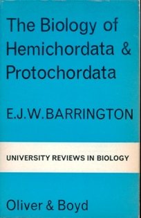 The biology of hemichordata and protochordata