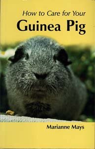 YOUR FIRST GUINEA PIG. [Paperback] Marianne MAYS
