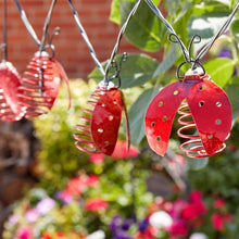 Load image into Gallery viewer, 10 Ladybird Solar String Lights - Solar powered fairly lights in Ladybird casing
