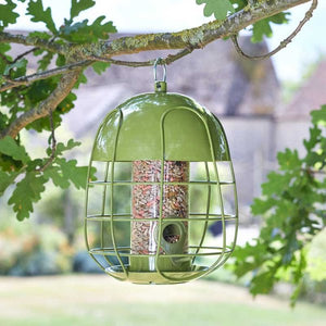 Acorn Squirrel Proof Seed Feeder - Brid Feeder