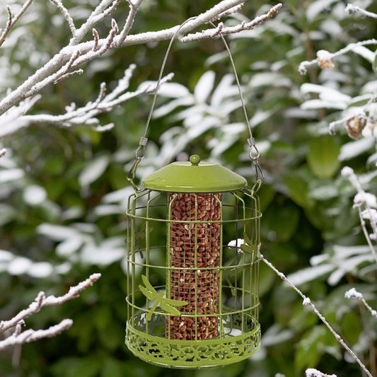 Décor Squirrel Proof Peanut Feeder - Dragon Fly design decor - Bird Feeder