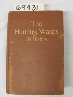 The Hunting Wasps