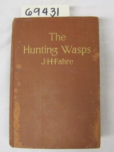 The Hunting Wasps