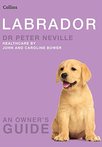 Labrador (Collins Dog Owner?s Guide) [Paperback] Neville, Dr. Peter