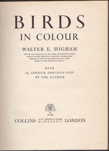 BIRDS IN COLOUR [Hardcover]