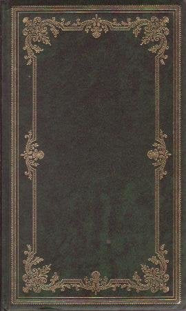 The Glass Virgin [Heron Books]