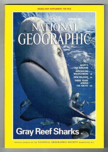 National Geographic Magazine January 1995 MBox219 Gray Reef Sharks