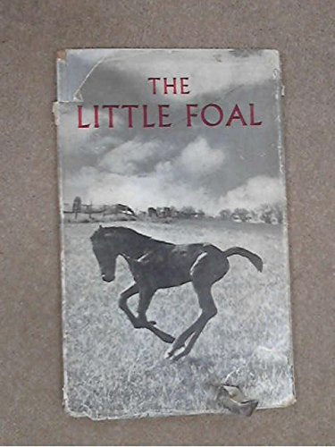 The little foal Lieberkind, Ingvald