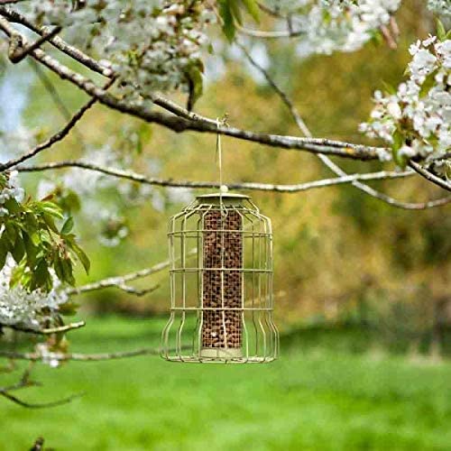Squirrel Proof Peanut Feeder - Smart Garden