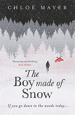 The Boy Made of Snow [Hardcover] Mayer, Chloe