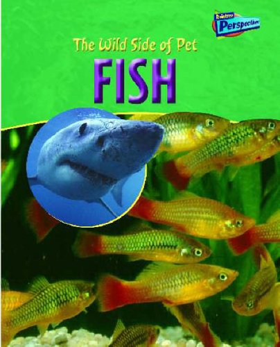 Raintree Perspectives: the Wild Side of Pets: Fish Hardback (Raintree Perspectives) [Hardcover] Robin Birch