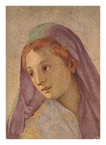 FRESCOES FROM FLORENCE [Paperback] Pistoia, F