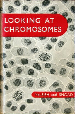 Looking at chromosomes