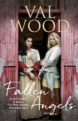 Fallen Angels [Paperback] Wood, Val