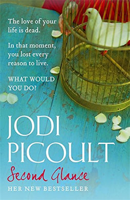 Second Glance [Paperback] Jodi Picoult