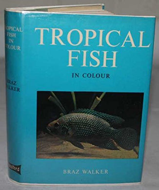 Tropical Fish (Colour S.) Walker, Braz
