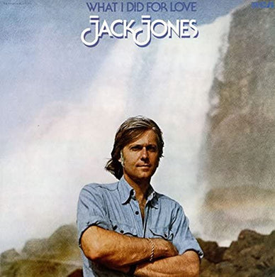 what i did for love LP