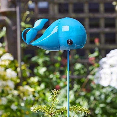 Flamboya Whales! Border Stakes