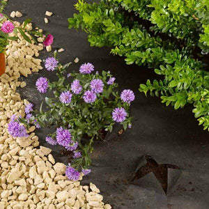 Smart Garden 1m x 15m G100 Anti-Weed Fabric Blocks weeds. Commercial grade fabric - 15 square metres