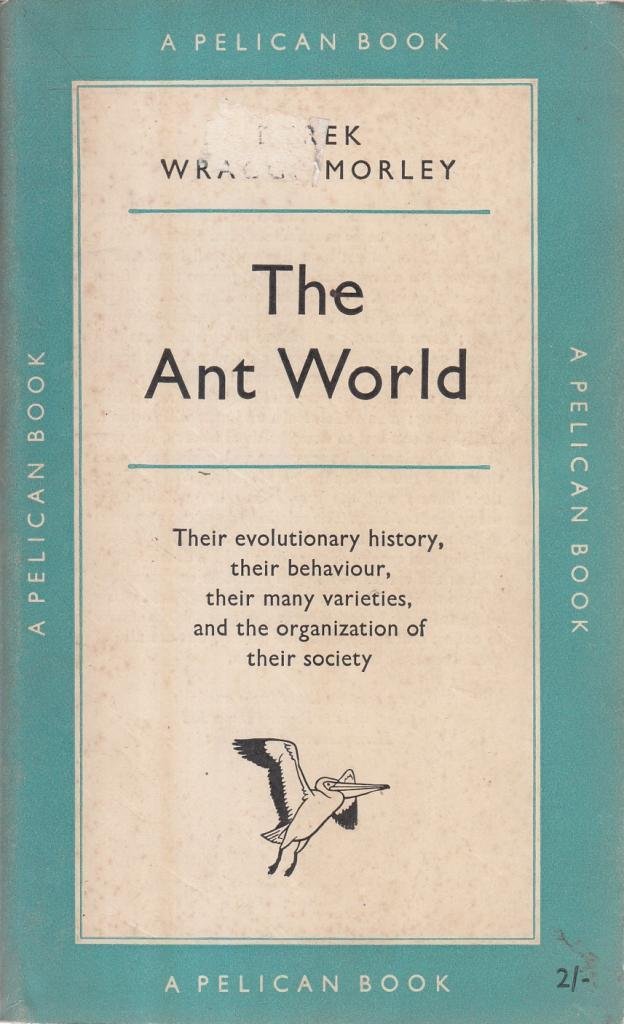 THE ANT WORLD