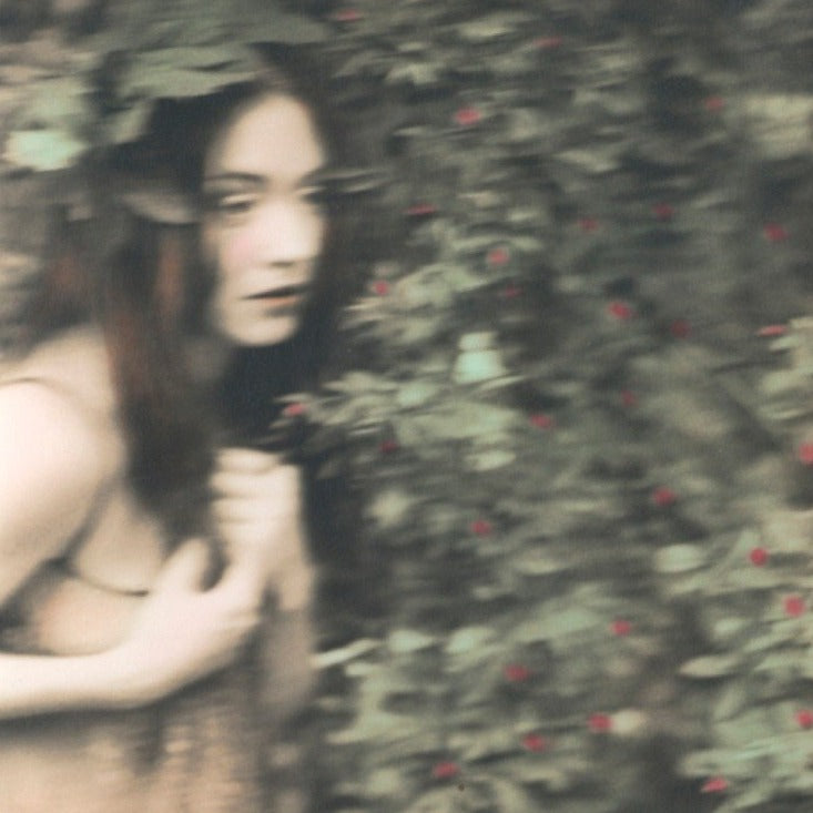 Le Grand Meaulnes, by Alain-Fournier (Twentieth century texts) Alain-Fournier