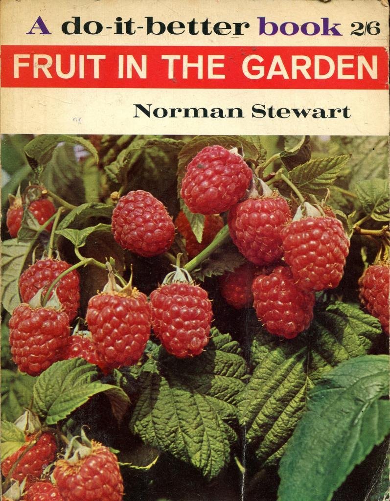 Fruit in the Garden (Do-it-Better Books) Stewart, Norman