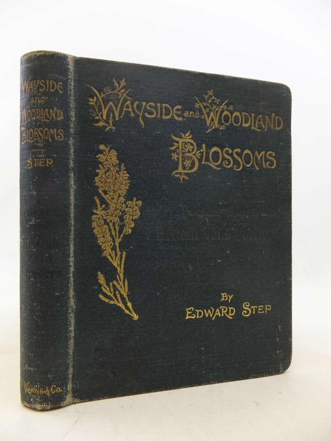 Wayside and Woodland Blossoms [Hardcover] Step., Edward