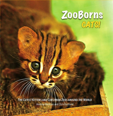 ZooBorns: Cats: The Cutest Kittens And Cubs from Zoos around the World [Hardcover] Andrew and Chris Bleiman and Eastland