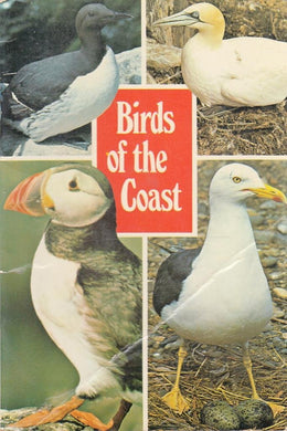 Birds of the Coast: Bk. 1 (Jarrold bird series) Jones, Reginald