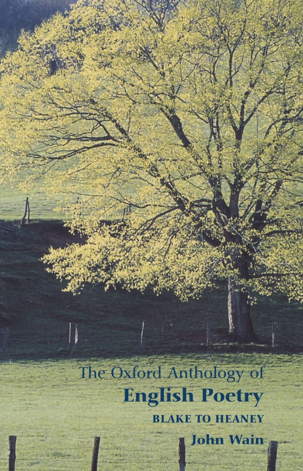 The Oxford Anthology Of English Poetry: Volume II: Blake to Heaney: Blake to Heaney Vol 2 [Paperback] Wain, John