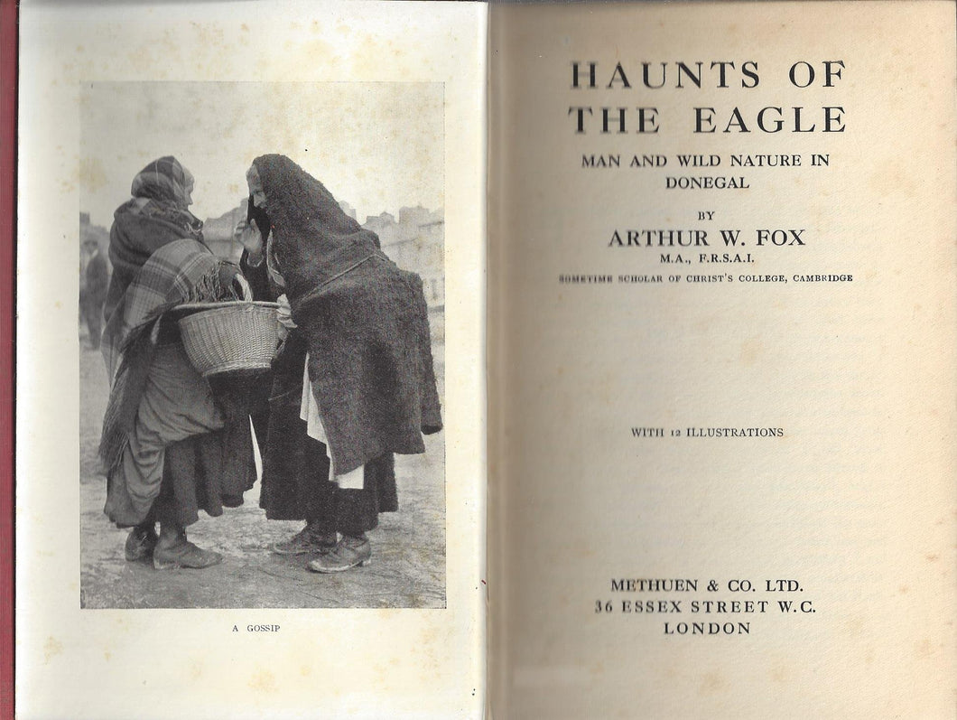 Haunts of the Eagle: Man & Wild Nature in Donegal