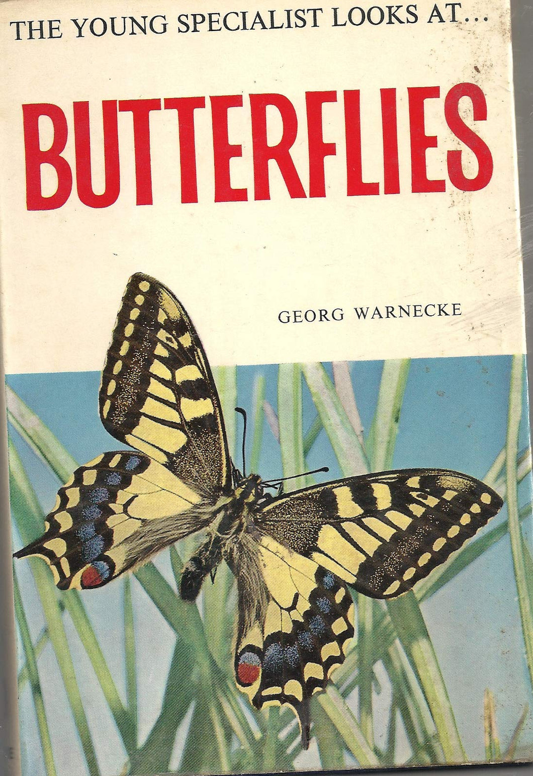 The Young Specialists Looks at Butterflies and Moths