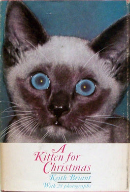 A Kitten For Christmas [Hardcover] Briant, Keith