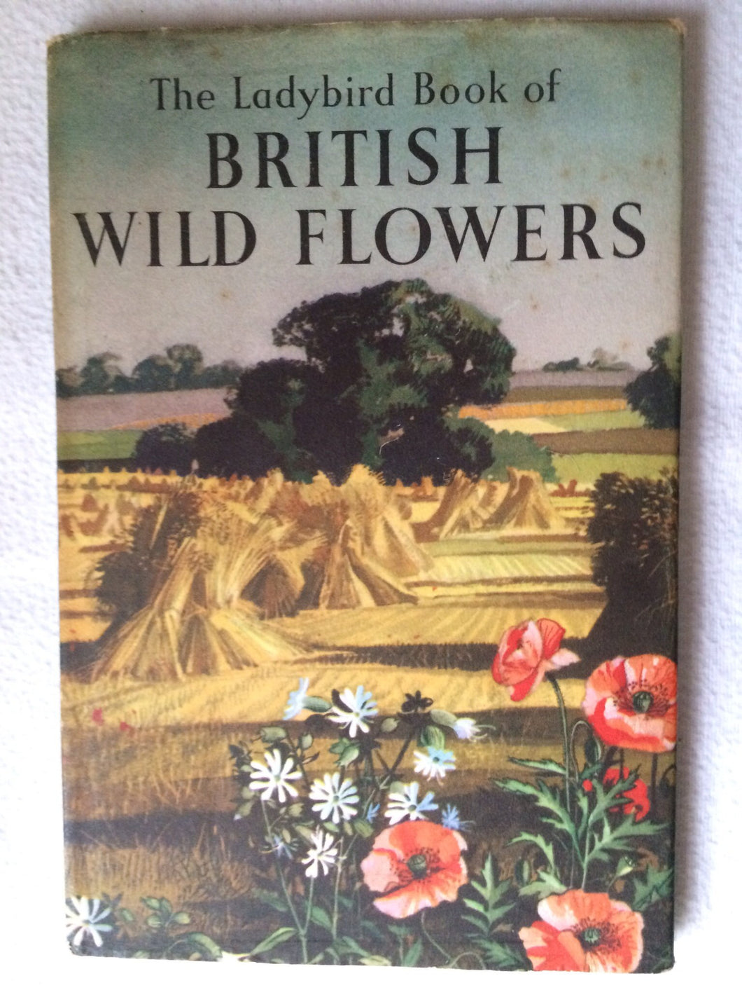 The Ladybird Book of British Wild Flowers [Unknown Binding]