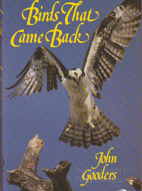 Birds That Came Back