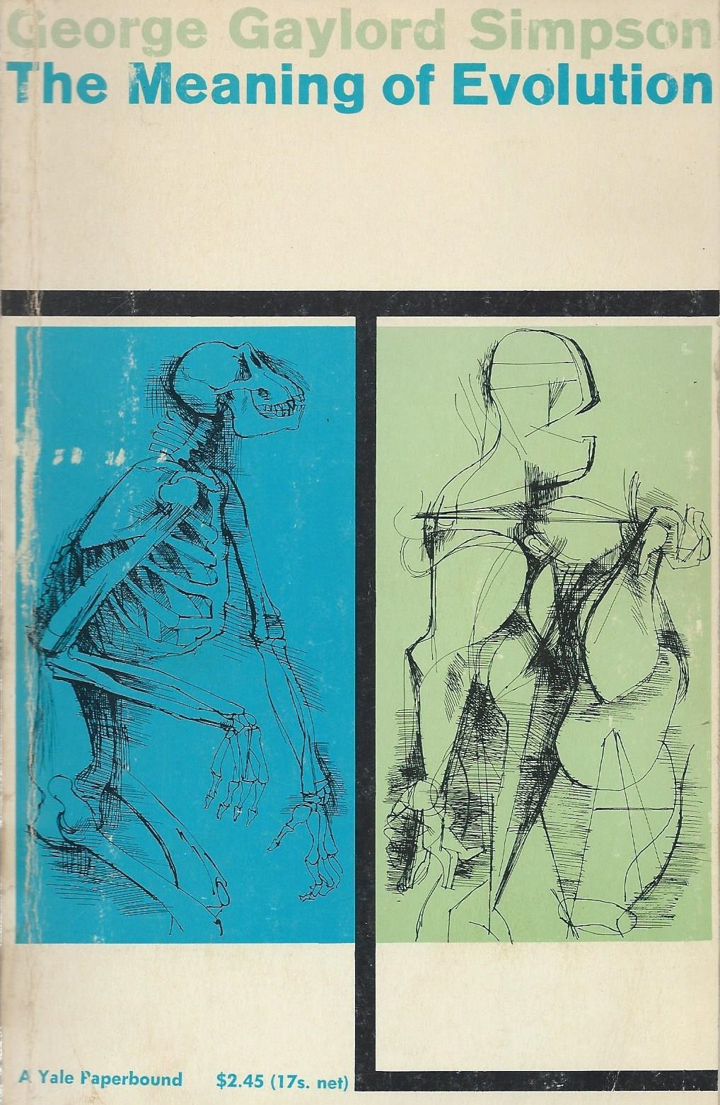 The Meaning of Evolution