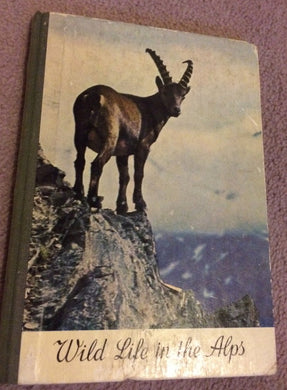 Wild Life in the Alps [Hardcover] RokitanskyGerth