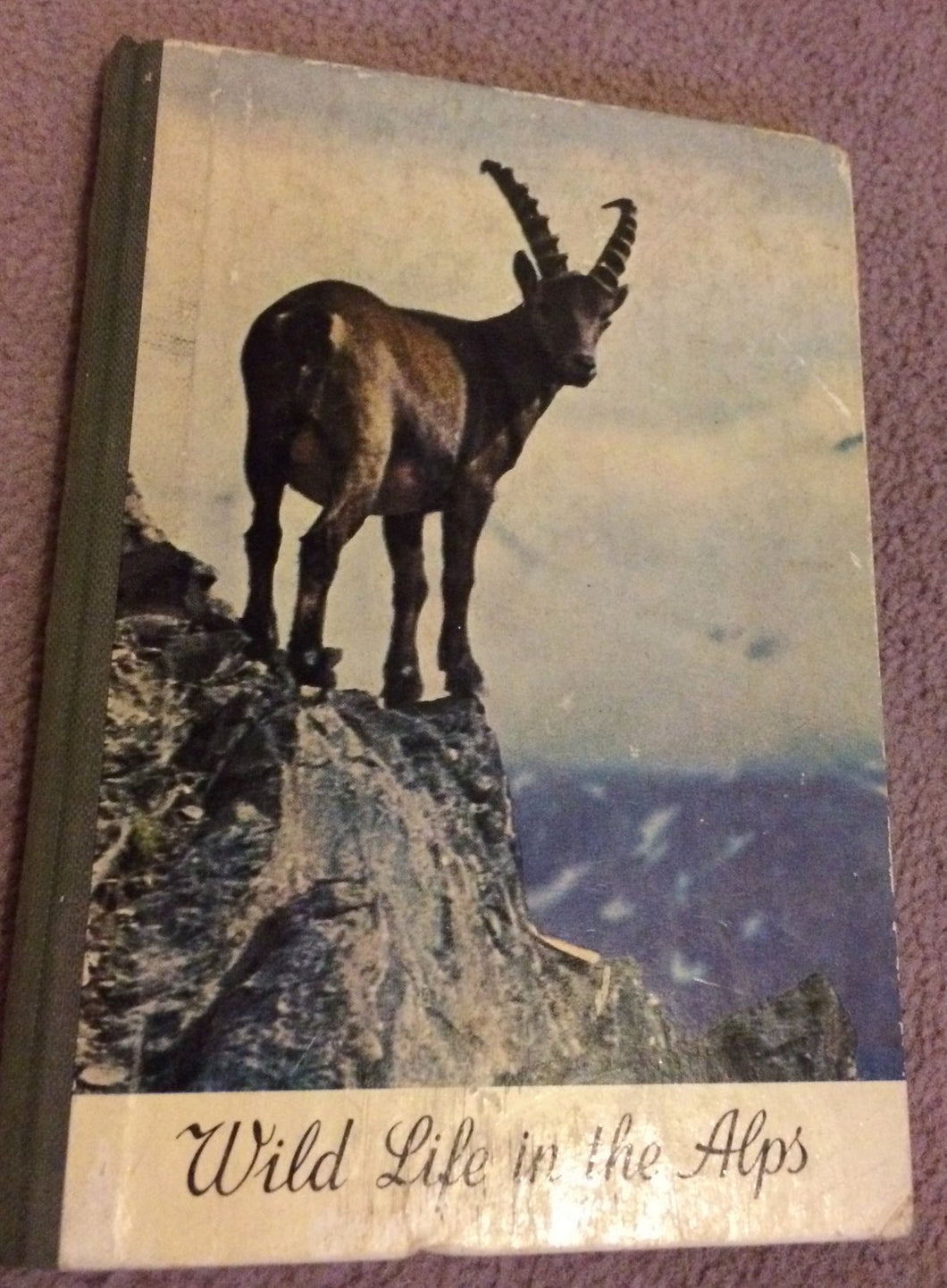Wild Life in the Alps [Hardcover] RokitanskyGerth