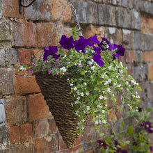 Load image into Gallery viewer, 12in Country Rattan Hanging Cone - Lined. Natural Fibre construction
