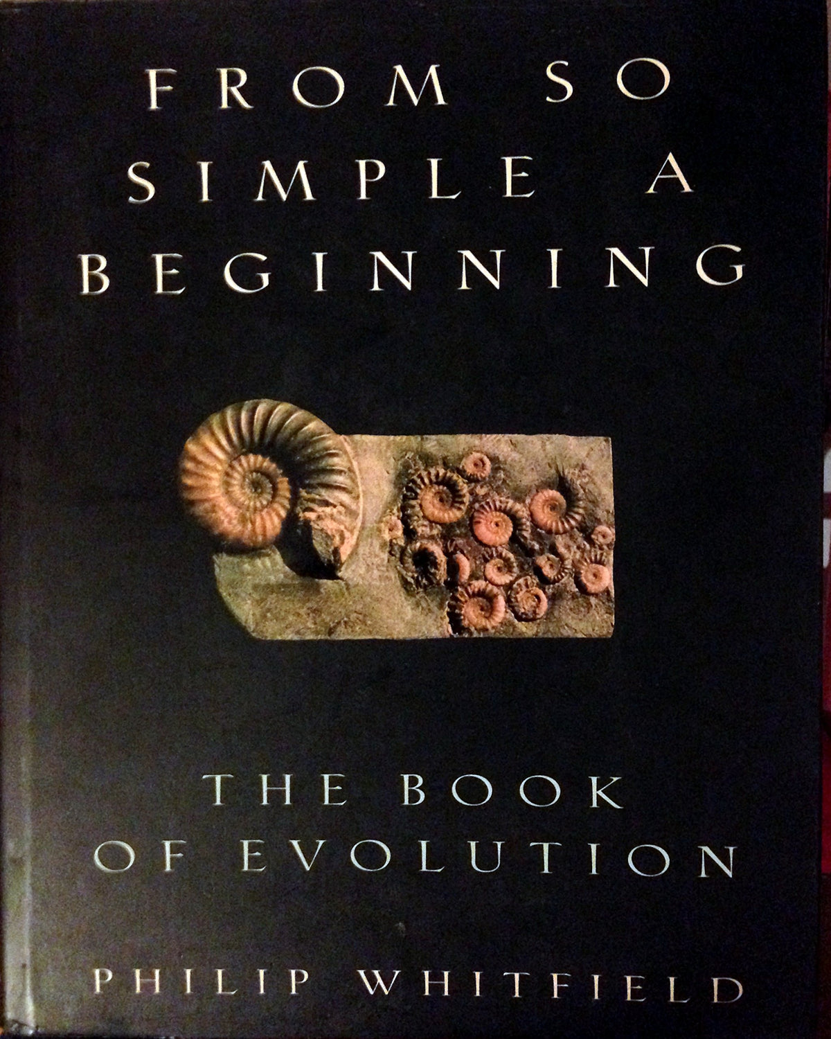 From So Simple A Beginning: the Book of Evolution WHITFIELD