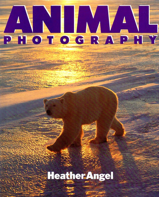 Animal Photography :