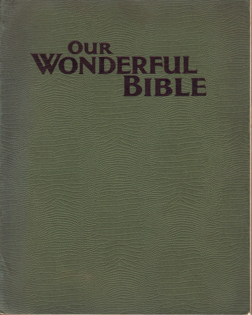 Our Wonderful Bible (Illustrated)