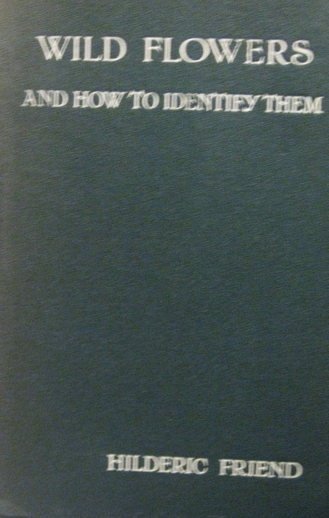 Wild Flowers and how to identify them