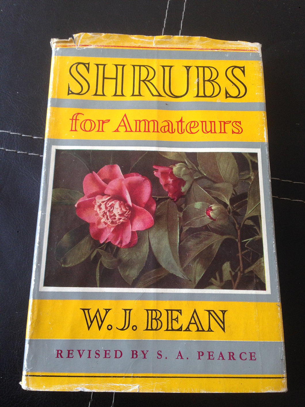 Shrubs For Amateurs