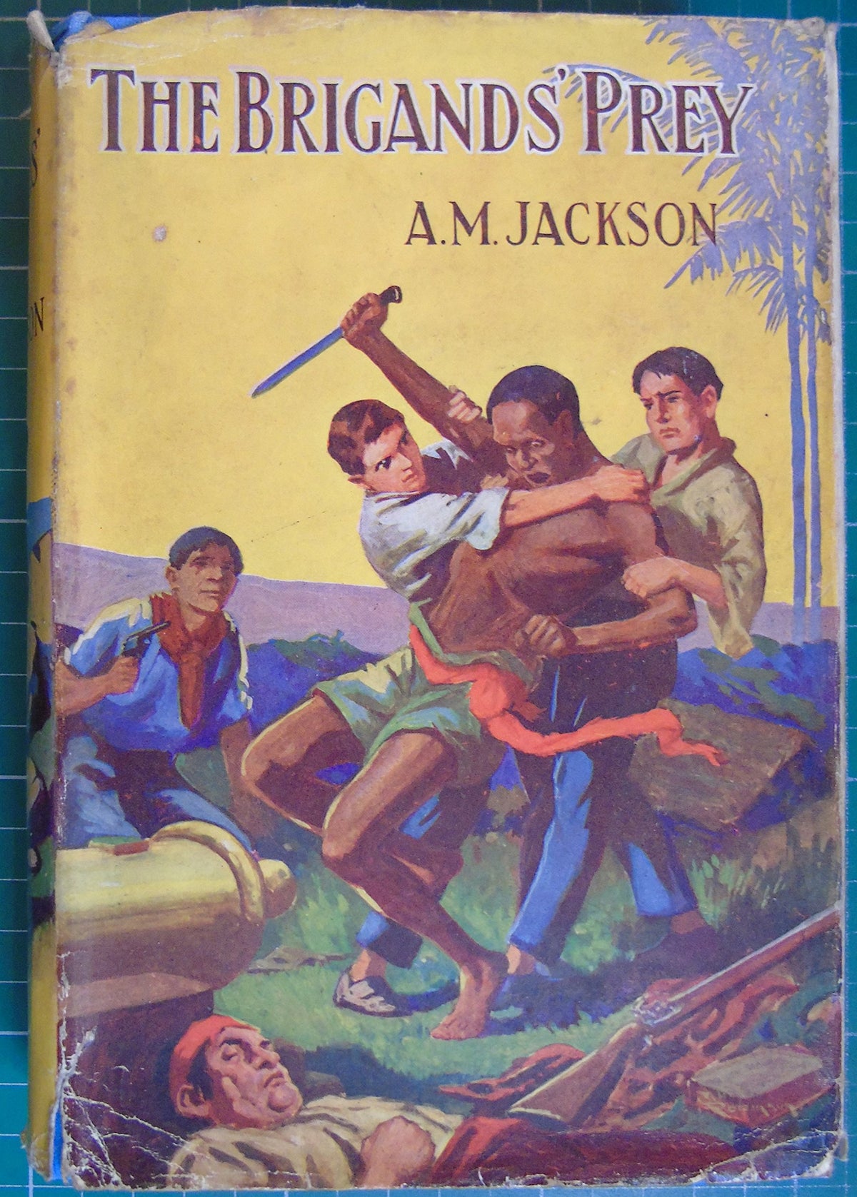 The Brigands' Prey : A Strange Story of Adventure [Hardcover] Jackson, A M