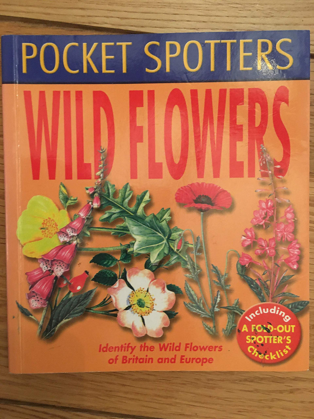 Wild Flowers [Paperback] Angela Royston