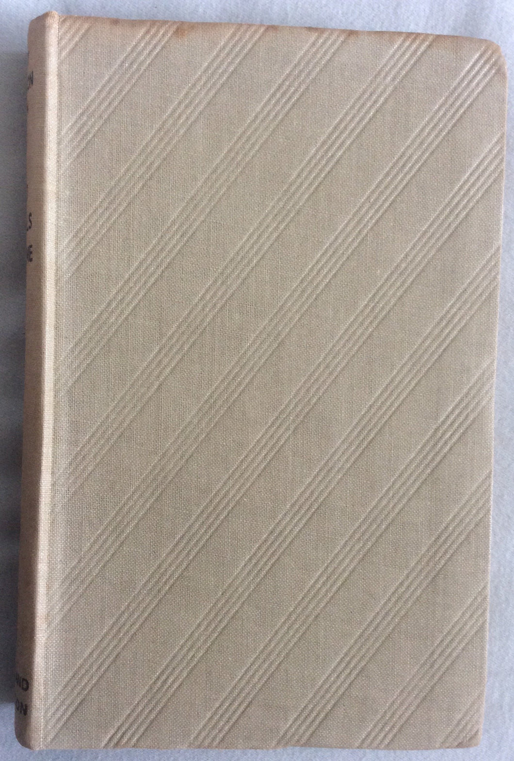 Wild Animals at Home