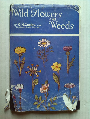 Wild Flowers and Weeds [Hardcover] G. H. Copley