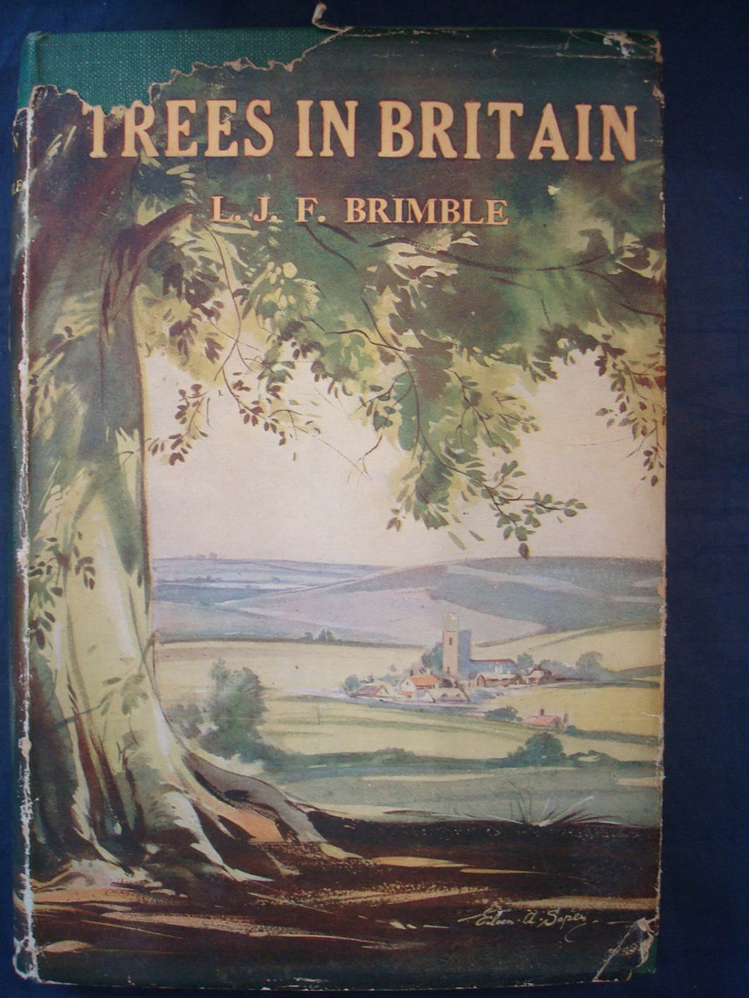 TREES IN BRITAIN.